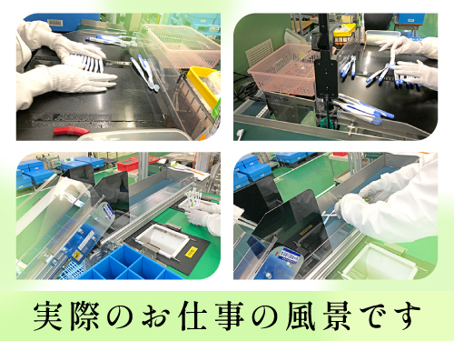 歯ブラシの検査